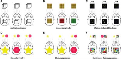 Intrinsic Rivalry. Can White Bears Help Us With the Other Side of Consciousness?